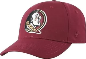 Top of the World Premium Collection One-Fit Memory Fit Team Color Icon Hat - Picture 1 of 1