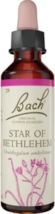Bach Original Flower Remedies Star Of Bethlehem 20ml - Picture 1 of 1