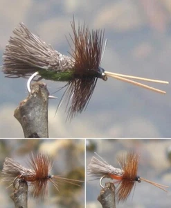 Gilchrist Fliegen. 3 x Trockenfliegen GODDARD CADDIS/ SEDGE.  Auswahl von Größen - Bild 1 von 4