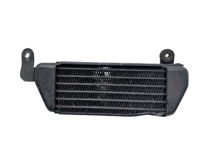 Triumph Speed Triple 955I 2003 2006 Oil Radiator With Dents And Scratches - Image 1 of 4