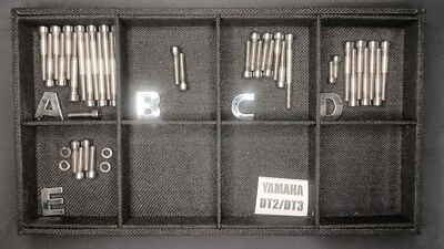 Yamaha DT2 DT3 DT2mx 250 1972 1973 Juego de motor de tornillo de acero inoxidable pulido Foto 1 de 4