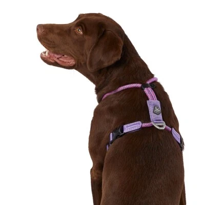 Arcadia Trail Lightweight Maximum Mobility Rope Dog Harness Purple 2XL - Image 1 of 4
