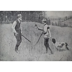 THE CONCILIATOR - A.B. Frost - Huntsmen Bird Dog 1908 Original Antique Print - Picture 1 of 2