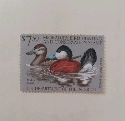 N44# Ruddy Duck Stamp - Image 1 of 2