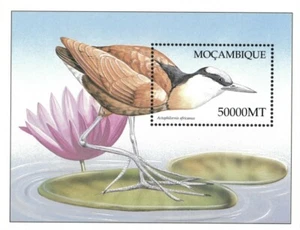 Mozambique 2003 - Birds of Africa Jacana - Souvenir Stamp Sheet Scott 1584 - MNH - Picture 1 of 1