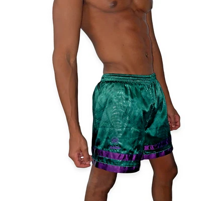 Xara 90s Raro Vintage Nylon Glanz Fútbol Shorts Verde Morado Sedoso Brillante - Imagen 1 de 4