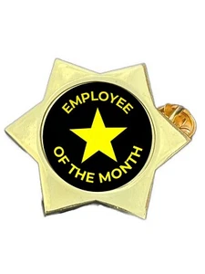 Employee Of The Month Gold Star Lapel Pin Badge - Picture 1 of 4