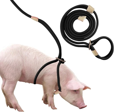 Mini Arnés y Correa de Cerdo, Cuerda Ajustable de 8 Pies de Largo para Mascotas Pequeñas a Medianas Pi Foto 1 de 4