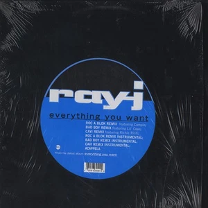 Ray J - Everything You Want (Vinyl 12" - 1997 - US - Original) - Bild 1 von 1