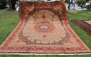 Large Caucasian Medallion Area Rug 10x13 ft Hand Knotted Geometric Floral Carpet - Picture 1 of 13