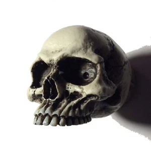 3/8x24 1/2 Skull Shift Knob Hot Rat Street Rod Skeleton Punk Goth Made in USA #3 - Picture 1 of 11
