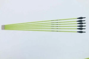 12Pcs 30" Spine 500-Fiberglass Archery Recurve&Compound Bows Hunting Target  - Picture 1 of 10