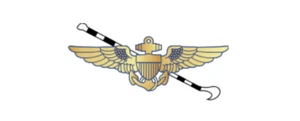 4" US Militär Marine Flieger Flügel Heckhaken Stoßstange Aufkleber Aufkleber Made USA - Bild 1 von 1