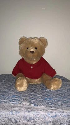 Oso de peluche Aeropostale usado Foto 1 de 2