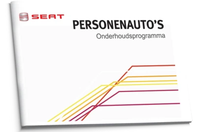 Manutenzione Seat olandese pulizia - Immagine 1 di 4