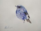 Robin bleu, oiseaux, aquarelle, fait main, peinture originale sur papier