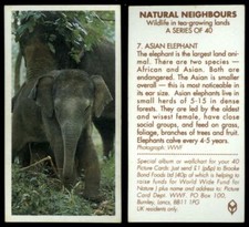 Asian Elephant #7 Natural Neighbours 1992 Brooke Bond Tea Card