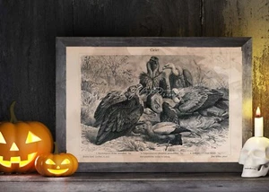 POSTER PRINT Spooky Vultures Wall Art Vintage Halloween Decor Birds of Prey - Picture 1 of 5