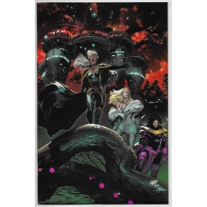 House Of X #6 Larraz Virgin Variant - Imagen 1 de 2