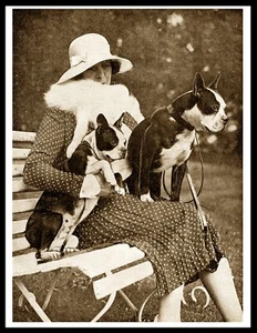 BOSTON TERRIER & LADY VINTAGE STIL A4 GRÖSSE HUND FOTODRUCK POSTER - Bild 1 von 1