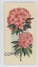 1977 Carreras Craven Black Cat Flowers All the Year Round Tobacco #17 2p7