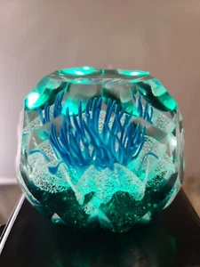 CAITHNESS SERENDIPITY FACETED PAPERWEIGHT BY COLIN TERRIS#22/50 - Imagen 1 de 11