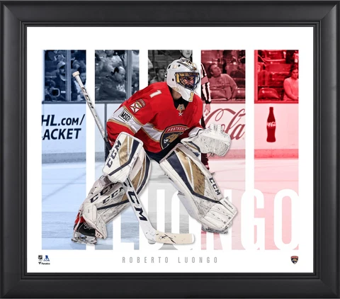 Roberto Luongo Florida Panthers Framed 15x17 Player Panel Collage Cover