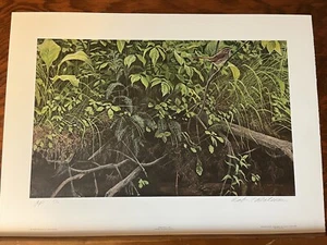 Robert Bateman ARTIST PROOF Stream Bank June 27 / 56 Excellent Condition - Picture 1 of 15