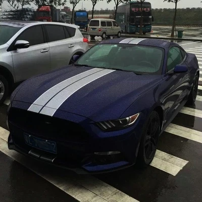 Комплект гоночных полосок автомобильных наклеек для Ford Mustang GT графика капот и крыша задняя наклейка - Изображение 1 из 4