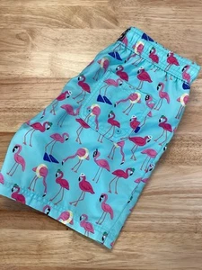 EUC Boys Janie & Jack Flamingo Swim Trunks - Size 8 - Picture 1 of 5