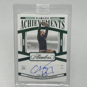 WWE 2024 Flawless Achievements 1/5 cm Punk Encased - Bild 1 von 2