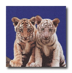 4 Motivservietten Servietten Napkins Tovaglioli Zwei weisse Tigerbabys (037) - Bild 1 von 1