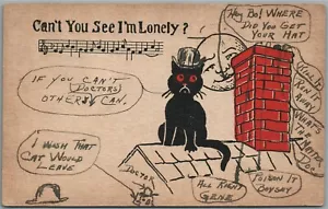 BLACK CAT COMIC 1907 ANTIQUE POSTCARD CAN'T YOU SEE I AM LONELY ? - Picture 1 of 2