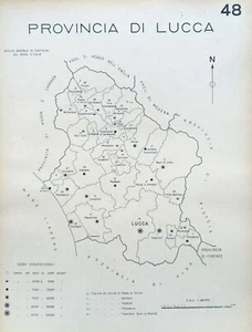 1938 COMUNI PROVINCIA LUCCA PESCAGLIA VIAREGGIO STAZZEMA PORCARI CAMAIORE BARGA - Picture 1 of 1