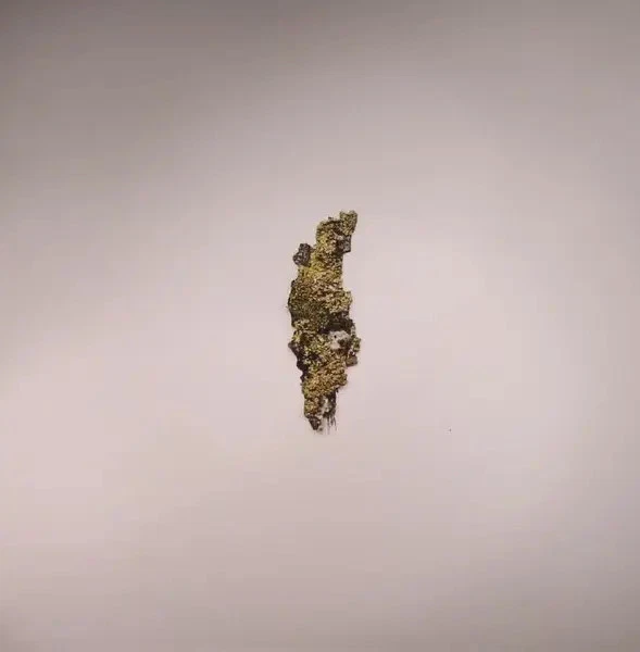 Dj Tennis, Douglas Greed Plangent Compilation Vol. 1 Vinyl Single 2 X 12inch - Bild 1 von 1