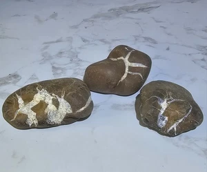 Septarian Michigan Lightning Stone (3) 1 Lb 6.3 Oz. Fast Shipping - Picture 1 of 10