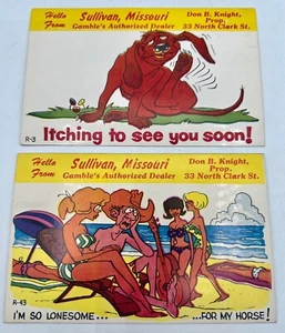 Funny Postcard Sullivan Missouri MO Laff Gram Unused - Picture 1 of 6