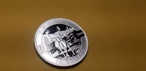2013 Canada $10 Silver Gem Proof Coin The Caribou. - Picture 1 of 5