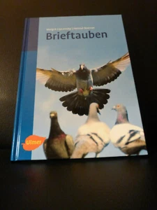 Brieftauben Lipczinsky Boerner Taubensport Tauben - Bild 1 von 1
