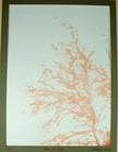 Tree of Life Signed - Fraser 2012 - 1 of 10