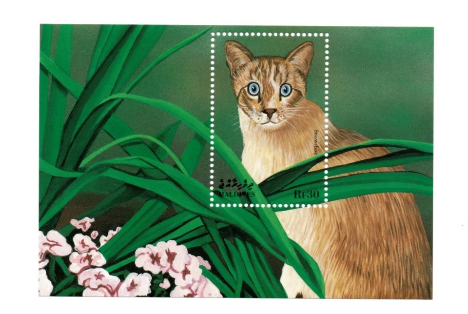 Maldives 1998 - Snowshoe Cats - Souvenir Sheet - Scott 2311 - MNH - Image 1 of 1