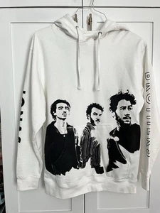 Jonas Brothers Official Tour Merch Hoodie Sz medium, EUC five albums one night - Picture 1 of 9