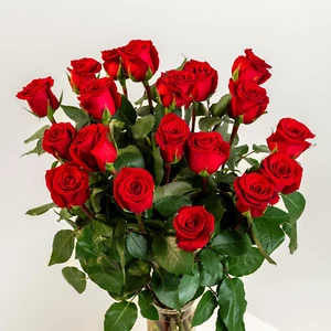 Efiori Mazzo Di 19 Rose Rosse Vere, Dedica Personalizzata E Consegna Fiori a Dom - Foto 1 di 13