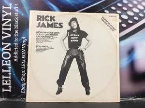 Rick James High On Your Love Suite 12” Single Vinyl Record 12TMG1137 Soul 70’s - Picture 1 of 6