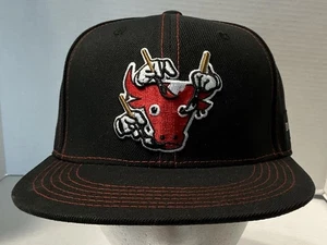 Cappello da baseball Chicago Bulls BMO Melonwear Painter Artist Series nero snapback - Foto 1 di 6