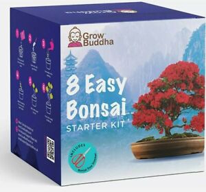 Grow Your own 8 Beautiful Bonsai Tree Varieties at Home| Complete Growing kit