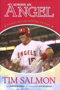 Always an Angel - Das Spiel mit Feuer & Glauben spielen - Tim Salmon - HC mit DJ 2010 - Bild 1 von 1