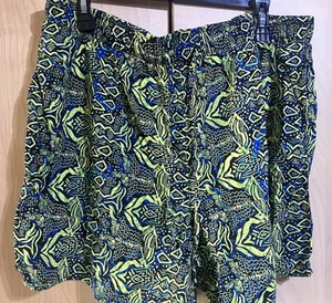 Cato Women’s Size 18/20W Multi - Colored Printed Pull On Elastic Waist Shorts - Picture 1 of 3