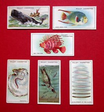WILLS 6 VINTAGE 1928 CIGARETTE CARDS  WONDERS OF THE SEA  No's 5-6-7-8-9-10