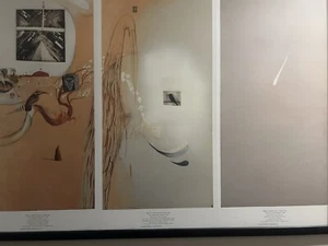 brett whiteley 1969 American Dream Series Panels 11.12.13 L/E Repro Print71x40cm - Picture 1 of 1